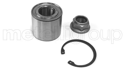 Підшипник маточини (задньої) Renault Megane II/Scenic II 03- (25x55x48) (к-кт) METELLI Metelli 19-2735 (фото 1)