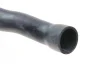Патрубок радіатора (верхній) MB E-class (W210) 2.4-3.2 96-03 019 501 0003 MEYLE 019-501-0003 (фото 5)