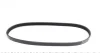 Ремінь генератора Ford Transit 2.0 TDCI 00-06 050 004 0735 MEYLE 050-004-0735 (фото 3)