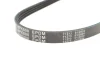 Ремінь генератора Honda Civic VI/Nissan Primera/Citroen Berlingo 1.4-1.6 16V 94-05 (4PK800) 050 004 0800 MEYLE 050-004-0800 (фото 5)
