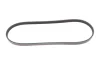 Ремінь генератора Honda Civic 1.4/1.6 16V/Nissan Primera 2.0 16V 90-01 (4PK845) 050 004 0845 MEYLE 050-004-0845 (фото 1)
