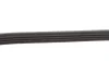 Ремінь генератора Honda Civic 1.4/1.6 16V/Nissan Primera 2.0 16V 90-01 (4PK845) 050 004 0845 MEYLE 050-004-0845 (фото 3)