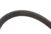 Ремінь генератора Citroen Berlingo/Peugeot Partner 1.1/1.4/1.6 96- (4PK855) 050 004 0855 MEYLE 050-004-0855 (фото 2)