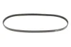 Ремінь генератора Fiat Doblo 1.6i 01- (4PK875) 050 004 0875 MEYLE 050-004-0875 (фото 1)