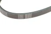 Ремінь генератора Fiat Doblo 1.6i 01- (4PK875) 050 004 0875 MEYLE 050-004-0875 (фото 4)