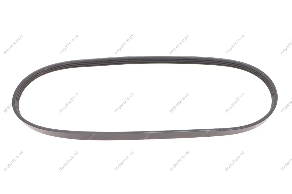 Ремінь генератора BMW X5 (E53) 3.0D 03-/Opel Astra G 1.7TD -00 (4PK884) 050 004 0884 MEYLE 050-004-0884 (фото 1)