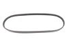 Ремінь генератора BMW X5 (E53) 3.0D 03-/Opel Astra G 1.7TD -00 (4PK884) 050 004 0884 MEYLE 050-004-0884 (фото 1)