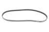 Ремінь генератора Audi/BMW/Fiat/Kia/Mazda (4PK890) 050 004 0890 MEYLE 050-004-0890 (фото 1)