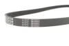Ремінь генератора Audi/BMW/Fiat/Kia/Mazda (4PK890) 050 004 0890 MEYLE 050-004-0890 (фото 4)