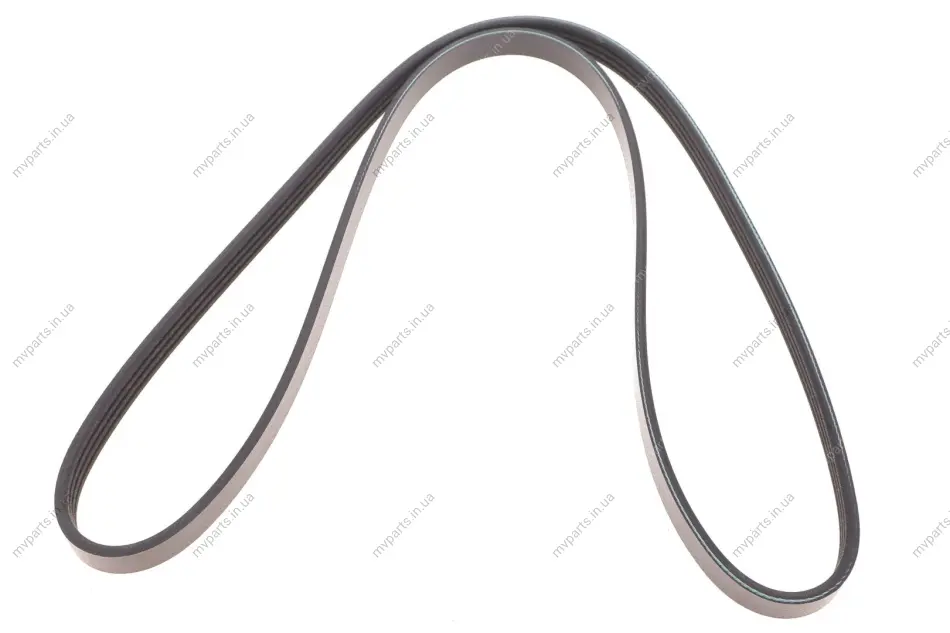 Ремінь генератора Renault Clio/Kangoo 1.4i/1.6 98-03 (4PK1238) 050 004 1238 MEYLE 050-004-1238 (фото 1)