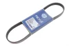 Ремінь генератора BMW 3 (E46)/5 (E39) 1.8D/2.0D 98-03 (5PK835) 050 005 0835 MEYLE 050-005-0835 (фото 2)