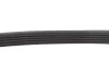 Ремінь генератора BMW 3 (E46)/5 (E39) 1.8D/2.0D 98-03 (5PK835) 050 005 0835 MEYLE 050-005-0835 (фото 3)