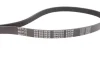 Ремінь генератора BMW 3 (E46)/5 (E39) 1.8D/2.0D 98-03 (5PK835) 050 005 0835 MEYLE 050-005-0835 (фото 4)