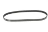 Ремінь генератора Renault Kangoo 1.2i 97- (5PK875) 050 005 0875 MEYLE 050-005-0875 (фото 1)