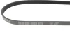 Ремінь генератора Fiat Ducato 1.9D/TD 94-02 (5PK925) 050 005 0925 MEYLE 050-005-0925 (фото 2)