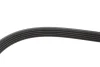 Ремінь генератора Fiat Ducato 1.9D/TD 94-02 (5PK925) 050 005 0925 MEYLE 050-005-0925 (фото 3)