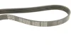 Ремінь генератора Audi A6 08- (5PK950) 050 005 0950 MEYLE 050-005-0950 (фото 4)