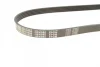 Ремінь генератора BMW 5 (E39)/7 (E32) 92-03 M60/S62 (5PK980) 050 005 0980 MEYLE 050-005-0980 (фото 2)