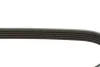 Ремінь генератора Renault Kangoo 1.4i 97-/ 1.6i 01- (5PK1110) 050 005 1110 MEYLE 050-005-1110 (фото 3)