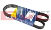 Ремінь генератора Ford Escort 1.8TD 95-00 (5PK1145) 050 005 1145 MEYLE 050-005-1145 (фото 1)