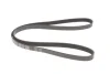 Ремінь генератора VW Passat B5/Audi A4/A6 1.9TDI 98- (5PK1435) 050 005 1435 MEYLE 050-005-1435 (фото 5)