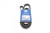 Ремінь генератора BMW 3 (E46)/5 (E39) 1.8D/Land Rover 2.0 Td4 4x4 00-06 050 005 2030 MEYLE 050-005-2030 (фото 1)