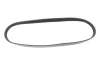 Ремінь генератора Citroen Jumper/Fiat Ducato 2.8HDi/JTD 00- (ALT,WP) (6PK995) 050 006 0995 MEYLE 050-006-0995 (фото 1)