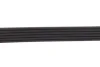 Ремінь генератора Citroen Jumper/Fiat Ducato 2.8HDi/JTD 00- (ALT,WP) (6PK995) 050 006 0995 MEYLE 050-006-0995 (фото 3)