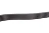 Ремінь генератора Fiat Ducato 2.5D/TD (PS) (6PK1015) 050 006 1015 MEYLE 050-006-1015 (фото 3)
