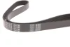 Ремінь генератора Audi A3/A4/Seat Leon/VW Caddy/Passat/Tiguan 1.6-2.0TDI (6PK1025) 050 006 1025 MEYLE 050-006-1025 (фото 3)