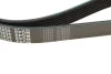 Ремінь генератора VW Caddy 1.9D/SDI -03 (6PK1035) 050 006 1035 MEYLE 050-006-1035 (фото 4)