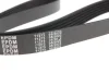 Ремінь генератора Fiat Doblo 1.9D (6PK1055) 050 006 1055 MEYLE 050-006-1055 (фото 3)