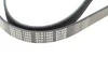 Ремінь генератора VW Golf V/VI/Passat VI/VII/Skoda Fabia 1.4TSI/FSI/1.6 FSI 97- (6PK1090) 050 006 1090 MEYLE 050-006-1090 (фото 4)