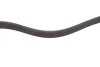 Ремінь генератора Hyundai i30 1.4i 07-12 (6PK1255) 050 006 1255 MEYLE 050-006-1255 (фото 3)