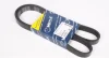 Ремінь генератора VW Golf/VW Bora 2.3 -00 (-AC) (6PK1290) 050 006 1290 MEYLE 050-006-1290 (фото 1)