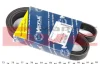 Ремінь генератора Citroen Berlingo/Jumpy/Peugeot Expert/Partner 1.6HDI (6PK1350) 050 006 1350 MEYLE 050-006-1350 (фото 1)