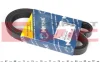 Ремінь генератора Ford Connect 1.8TDCI (6PK1415) 050 006 1415 MEYLE 050-006-1415 (фото 1)