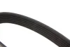 Ремінь генератора Citroen Berlingo/Fiat Scudo 1.9D (1868) (6PK1438) 050 006 1438 MEYLE 050-006-1438 (фото 2)