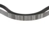 Ремінь генератора Citroen Berlingo/Fiat Scudo 1.9D (1868) (6PK1438) 050 006 1438 MEYLE 050-006-1438 (фото 3)