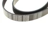 Ремінь генератора Citroen Berlingo 1.6 00-08/ Nemo 1.4i 08- (6PK1560) 050 006 1560 MEYLE 050-006-1560 (фото 4)