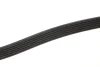 Ремінь генератора Opel Astra 1.7CDTI (6PK1623) 050 006 1623 MEYLE 050-006-1623 (фото 2)