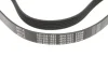 Ремінь генератора Opel Astra 1.7CDTI (6PK1623) 050 006 1623 MEYLE 050-006-1623 (фото 3)