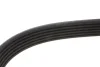 Ремінь генератора VW LT 2.5TDI 00- (-AC)/T4 2.4D/2.5TDI 96- (6PK1715) 050 006 1715 MEYLE 050-006-1715 (фото 2)