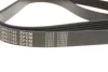 Ремінь генератора Peugeot Expert/Citroen Berlingo 1.9D/TD 96-/2.0HDI 00- (6PK1740) 050 006 1740 MEYLE 050-006-1740 (фото 2)