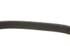 Ремінь генератора Peugeot Expert/Citroen Berlingo 1.9D/TD 96-/2.0HDI 00- (6PK1740) 050 006 1740 MEYLE 050-006-1740 (фото 4)