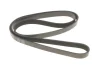 Ремінь генератора Peugeot Expert/Citroen Berlingo 1.9D/TD 96-/2.0HDI 00- (6PK1740) 050 006 1740 MEYLE 050-006-1740 (фото 5)
