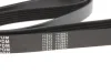 Ремінь генератора VW LT 2.5TDI 96-01/Peugeot Expert 1.9D/2.0HDI 98- (6PK1750) 050 006 1750 MEYLE 050-006-1750 (фото 3)