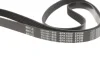 Ремінь генератора VW T4 2.0i 91-03/Opel Vectra A/B (6PK1900) 050 006 1900 MEYLE 050-006-1900 (фото 4)
