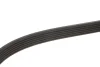 Ремінь генератора MB Sprinter CDI (-AC) (з обводним роликом) (6PK2260) 050 006 2260 MEYLE 050-006-2260 (фото 2)