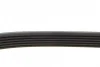 Ремінь генератора Audi A4/A6/A8/Q7 2.7/3.0TDI 04- 050 006 2490 MEYLE 050-006-2490 (фото 2)